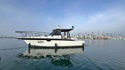 2001 Orca Orca31