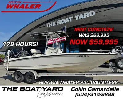 2011 Boston Whaler 230 Dauntless