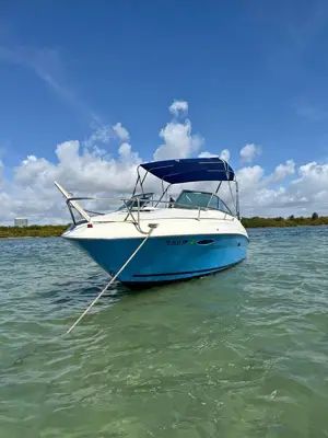 1998 Sea Ray Express Cruiser 215