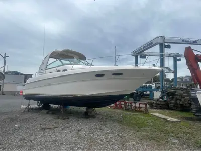 2001 Sea ray 310