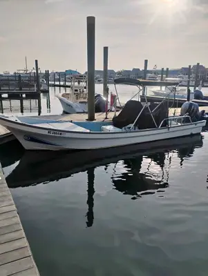 Panga boat 2017