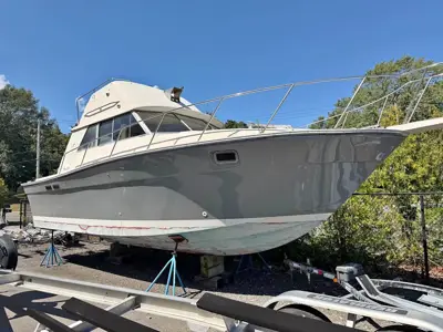 1985 Silverton 31 Flybridge