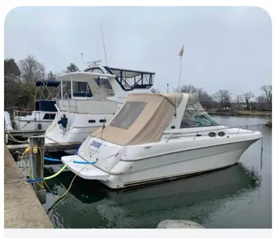 2001 Sea Ray Sundancer 310
