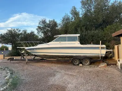 1988 Bayliner Trophy 2459 - Cuddy Cabin
