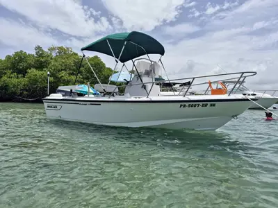 1997 Boston Whaler Outrage 17'6