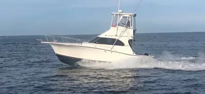 1989 320 Luhrs Tournament