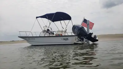 Boston Whaler Montauk