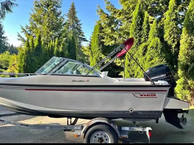 1995 Boston Whaler Dauntless 17