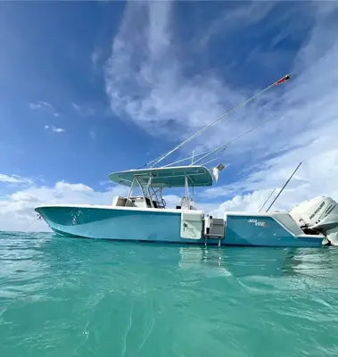 2015 Seavee 390z