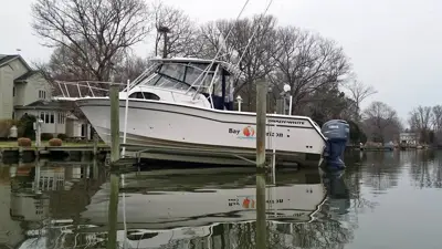 2002 Gradywhite 300 Marlin