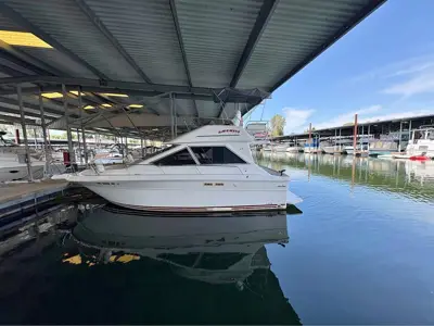 Amazing 1989 Searay 300 Sedan Deck