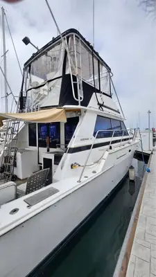 1977 Bertram 42
