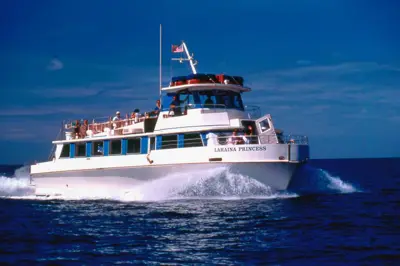 65”tour boat