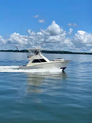 1973 Egg harbor 38 sportfish
