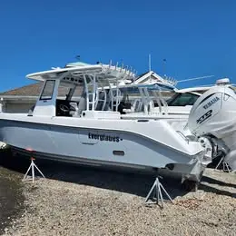 2025 Everglades 335cc