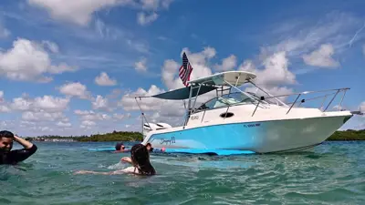Robalo 265