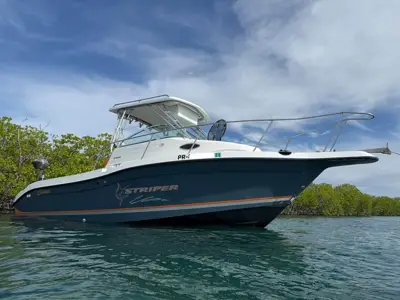 STRIPER 1999 WALKAROUND