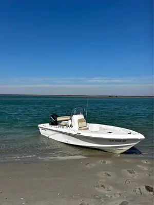 2004 Sea Fox 205 Bay Fish