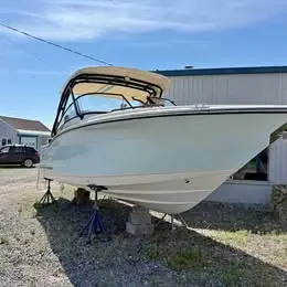 2025 Scout Dorado 255