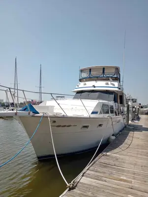 1985 Chris Craft 500