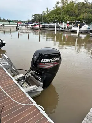 Pontoon Boat