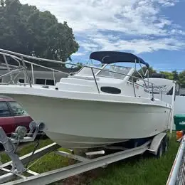 Wellcraft Walkaround Boat with Twin Johnson 150 Engines 24 ft