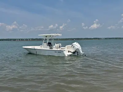 2024 Sea Born 24LX