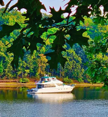 2002 Carver 570 Voyager Pilothouse