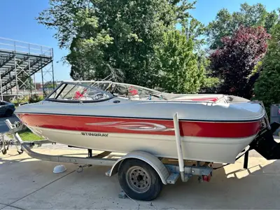 2013 Stingray 195lX