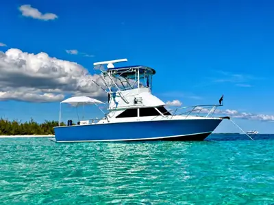 1975 Bertram 28 Flybridge