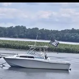 1988 Chris Craft 254 seahawk