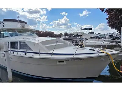 1984 Bertram 42 Flybridge Motor Yacht