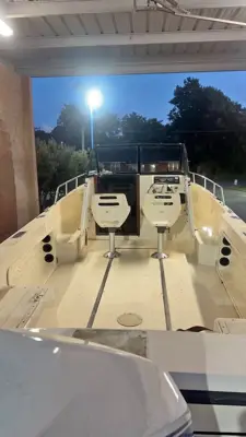 1995 Proline Evinrude