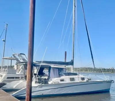 1998 PDQ 36