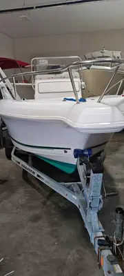 19 foot pro line sport center
