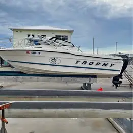 20 ft trophy new motor