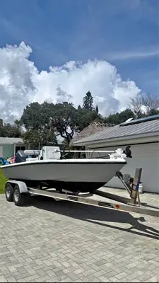 1986 Dolphin Dolphin 19
