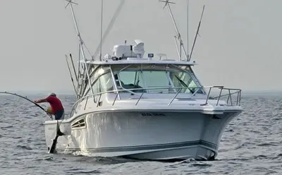 2006 WELLCRAFT 360 COASTAL EXPRESS