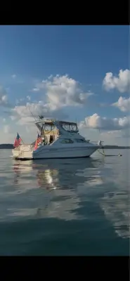 1993 Sea Ray express bridge 44