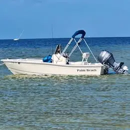 2011 Palm Beach Center Console