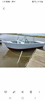 26 ft boat 29 ft with 3 ft fan tail all aluminum