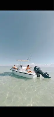 17ft Bayliner Trophy