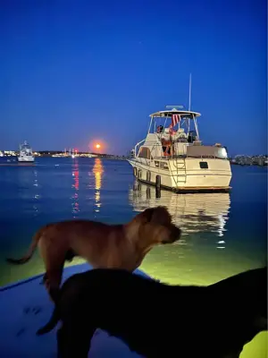 1981 Aft cabin Ocean Yacht