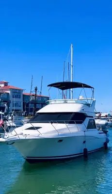 1996 Bayliner Avanti 3258