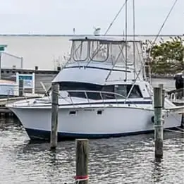 1980 Bertram Sportfishing