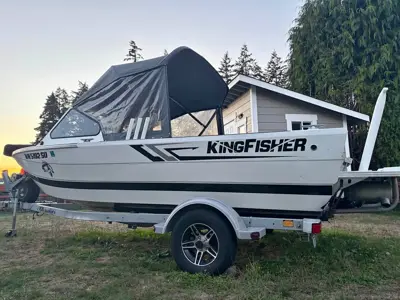 2019 Kingfisher falcon1875