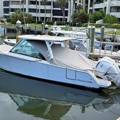 2026 Sailfish 316 DC