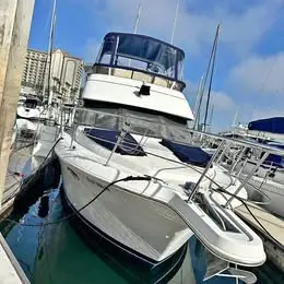 1999 Carver 355
