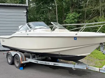 2003 Scout Dorado 202