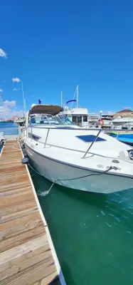 1998 Chaparral signature 29